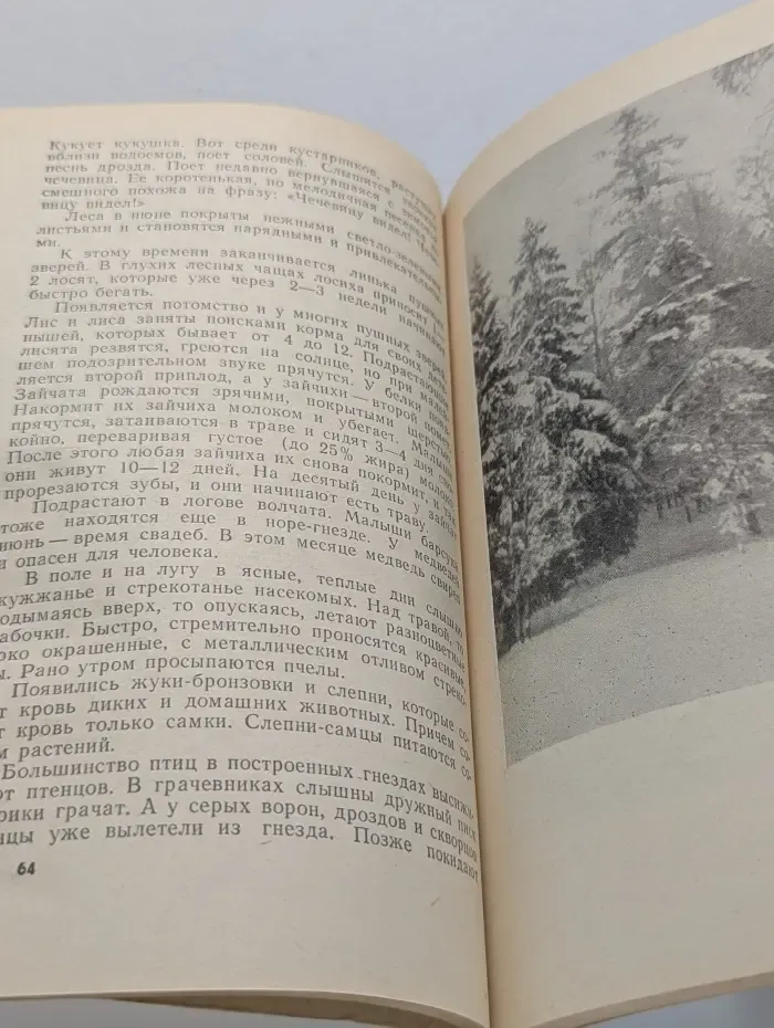 Времена года. Календарь природы