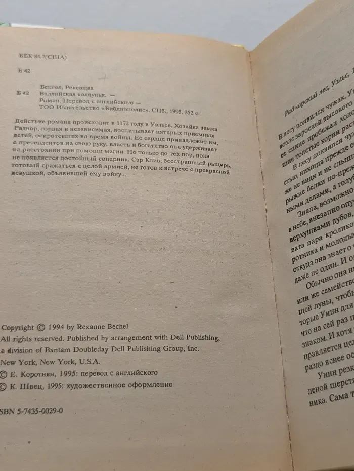 Библиотека любовного романа. Валлийская колдунья