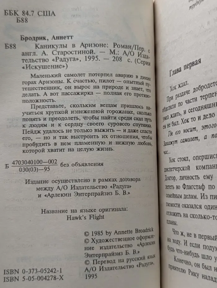 Искушение. Каникулы в Аризоне