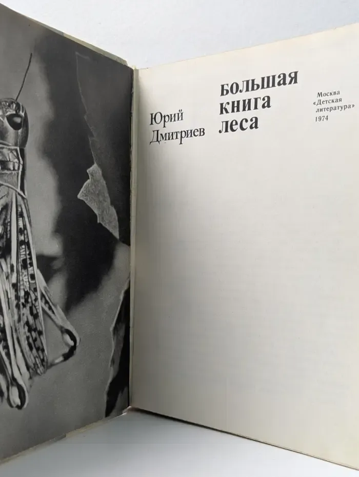 Большая книга леса