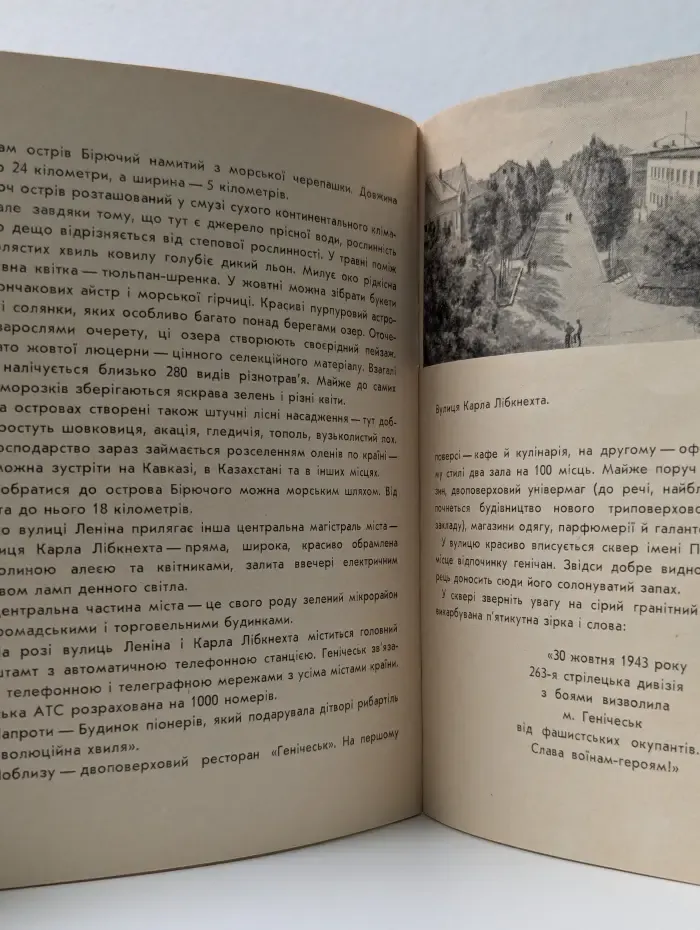 Геническ