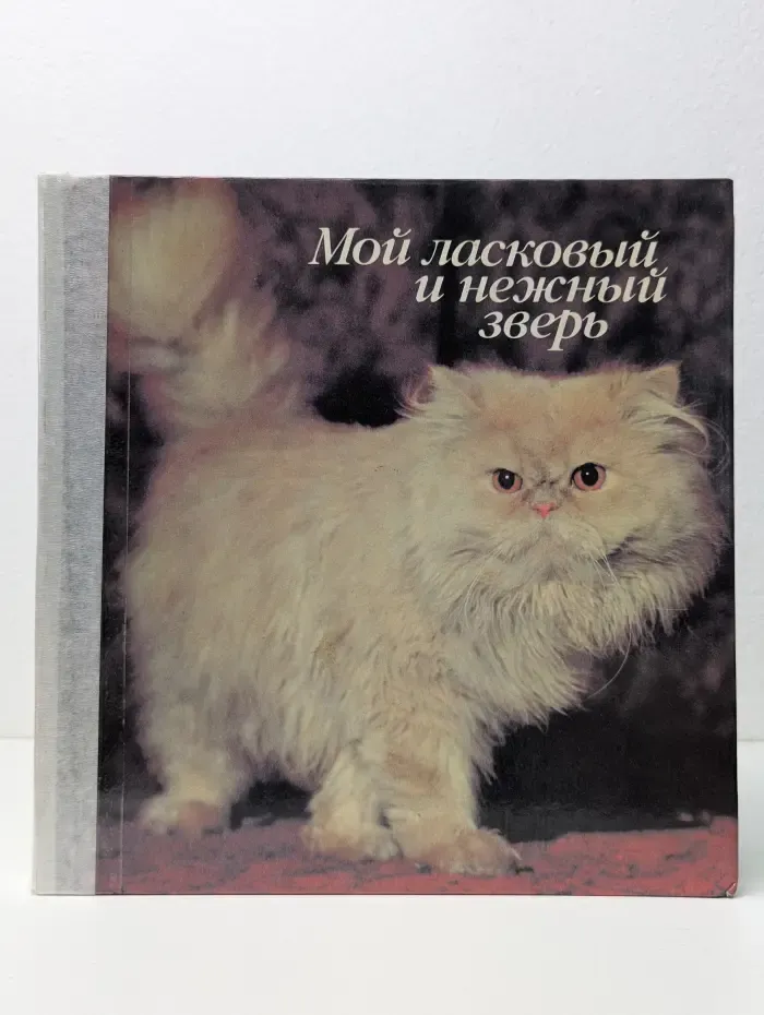Мой ласковый и нежный зверь