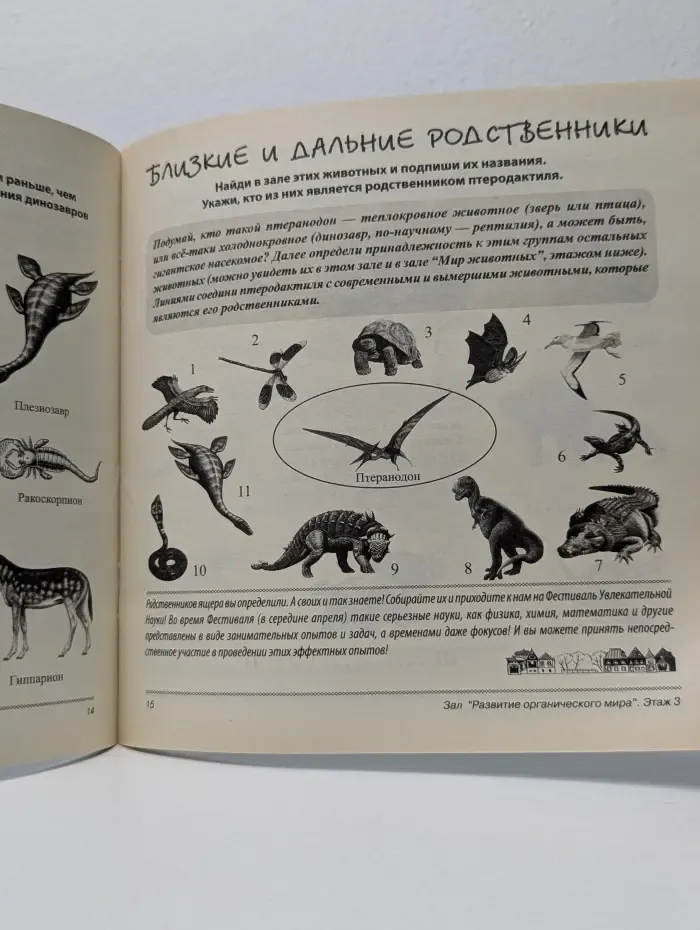 Мы и сами с усами! или Как самостоятельно исследовать наш музей