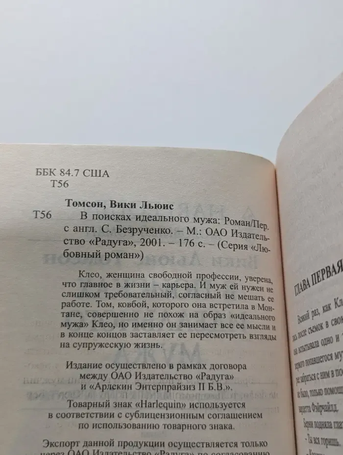 Любовный роман. В поисках идеального мужа