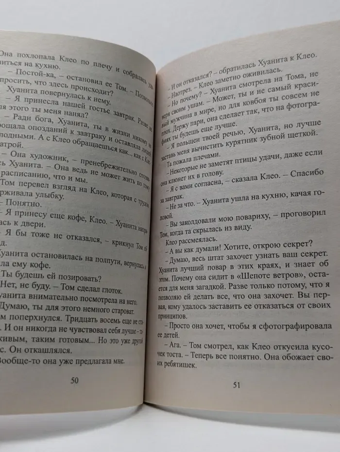 Любовный роман. В поисках идеального мужа