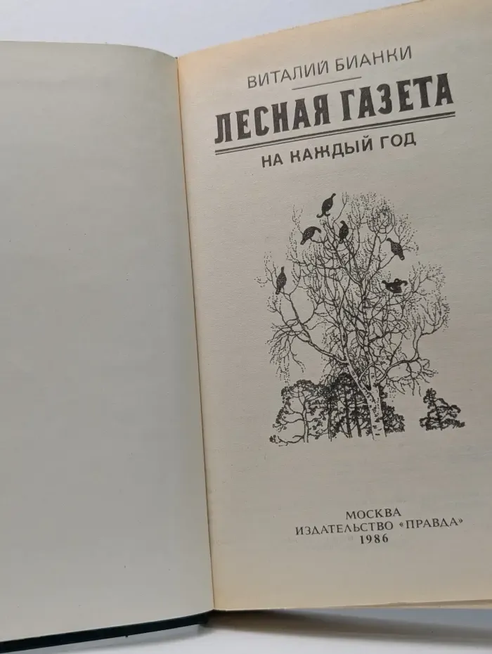Лесная газета