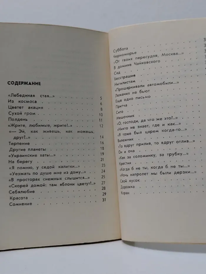 Березы светятся