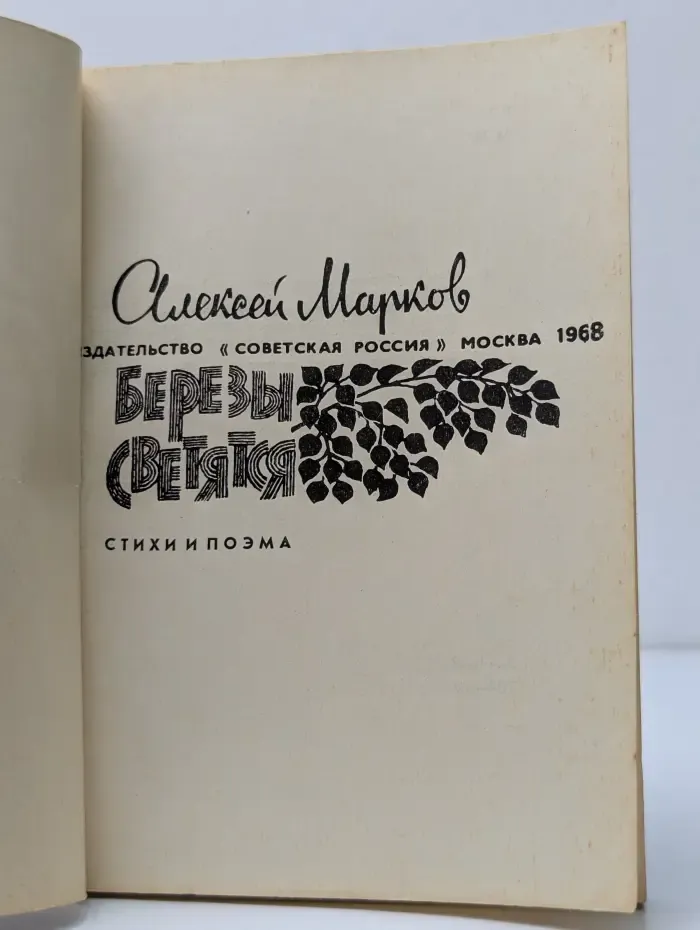 Березы светятся