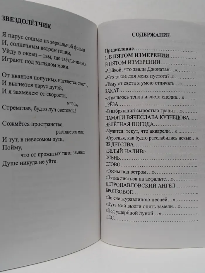 Ближний Космос