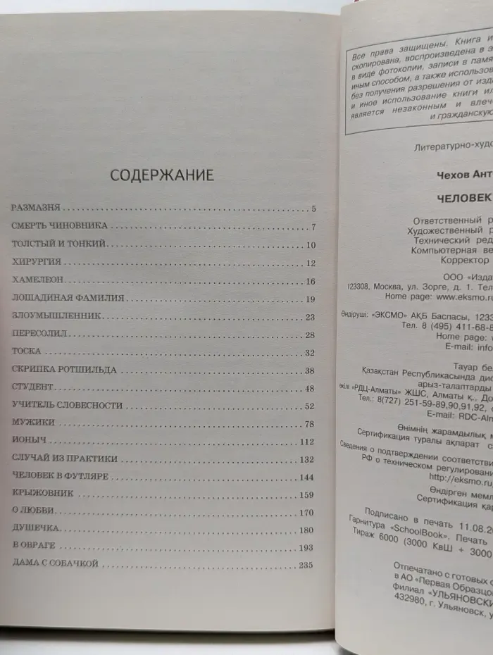 Внеклассное чтение. Человек в футляре