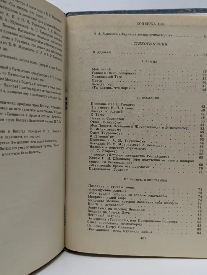 Библиотека Любителям российской словесности. Из литературного наследия. Нечто о поэте и поэзии