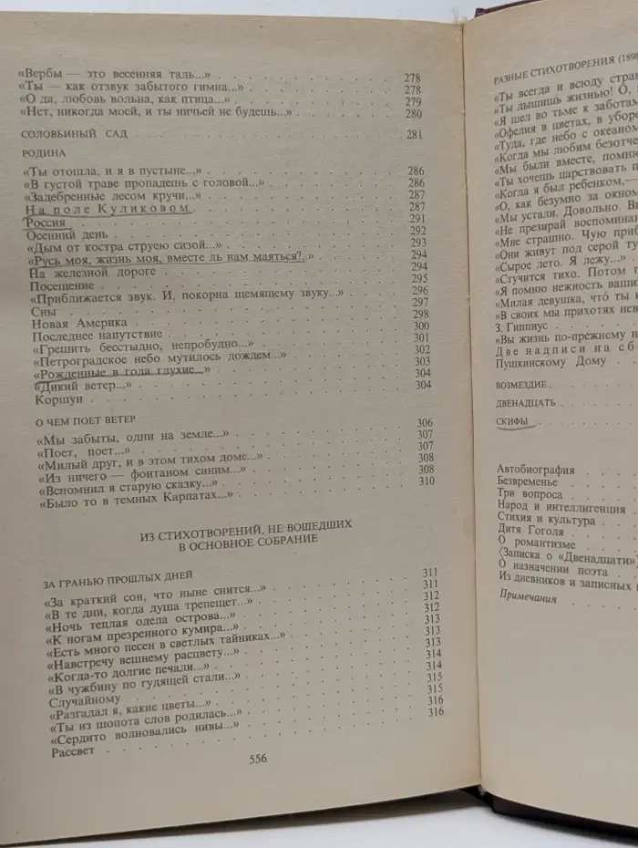 Русская литература. XX век. Александр Блок. Избранное