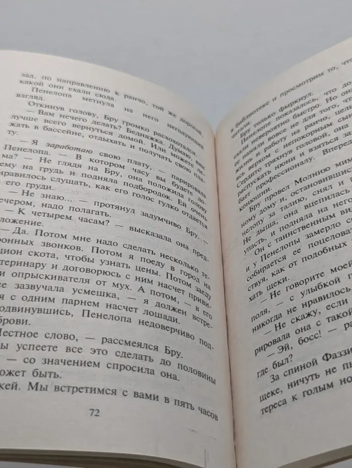 Любовный роман. Неукротимый Бру