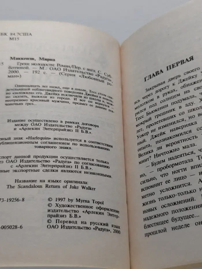 Любовный роман. Грехи молодости