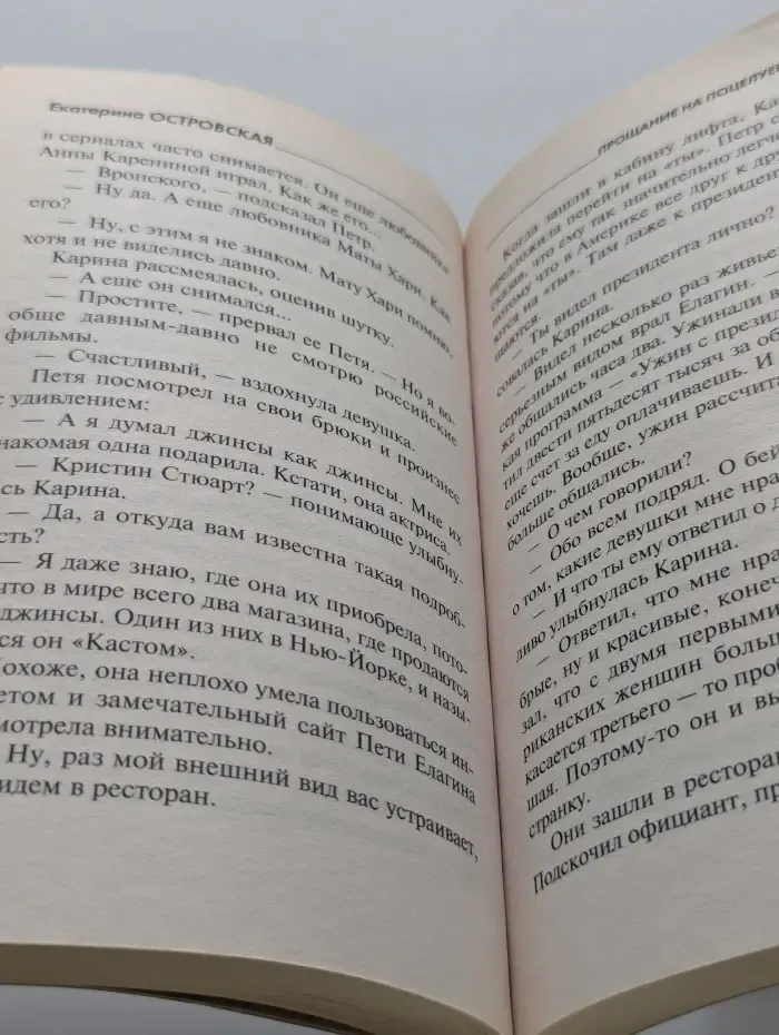 Татьяна Устинова рекомендует. Прощание на Поцелуевом мосту