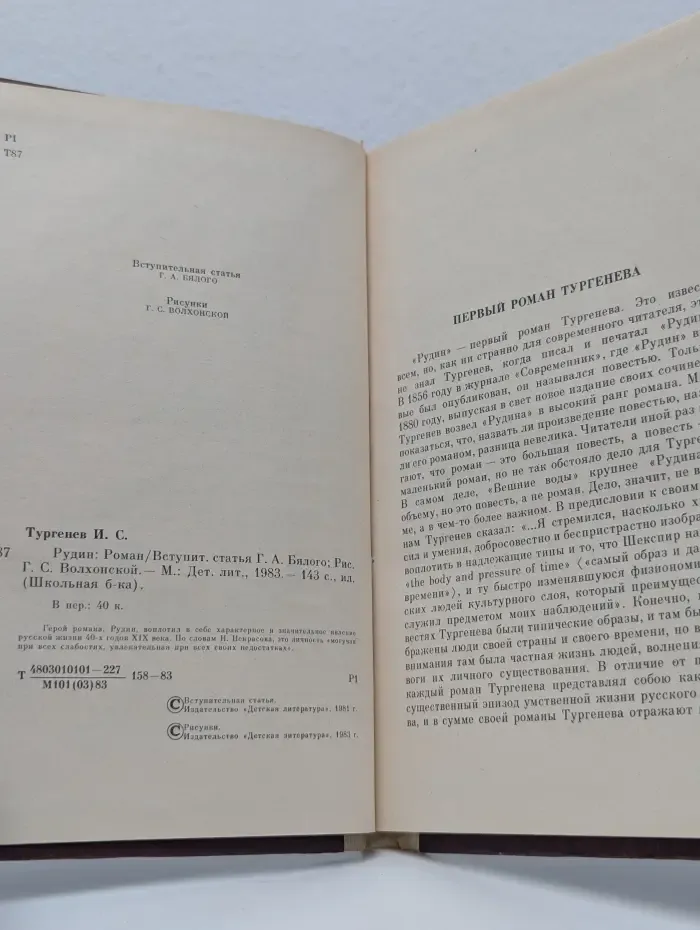 Школьная библиотека. Рудин