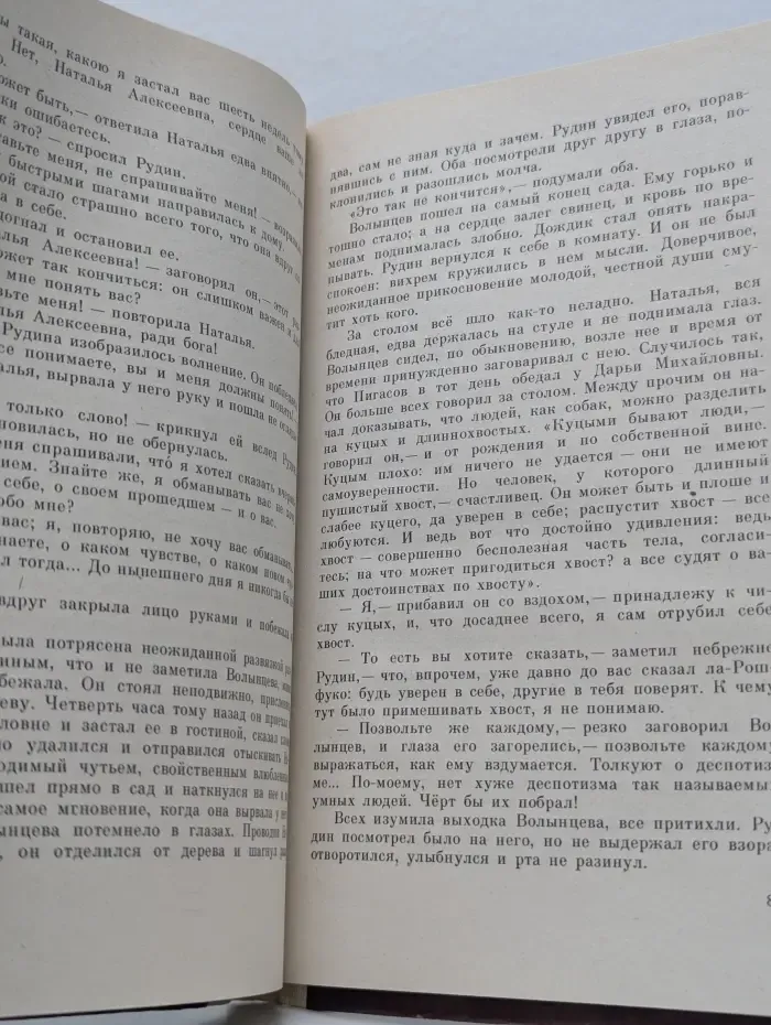 Школьная библиотека. Рудин