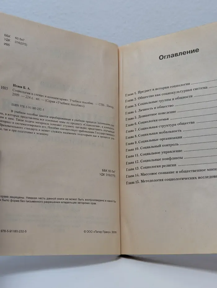 Социология в схемах и комментариях
