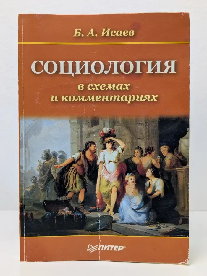 Социология в схемах и комментариях