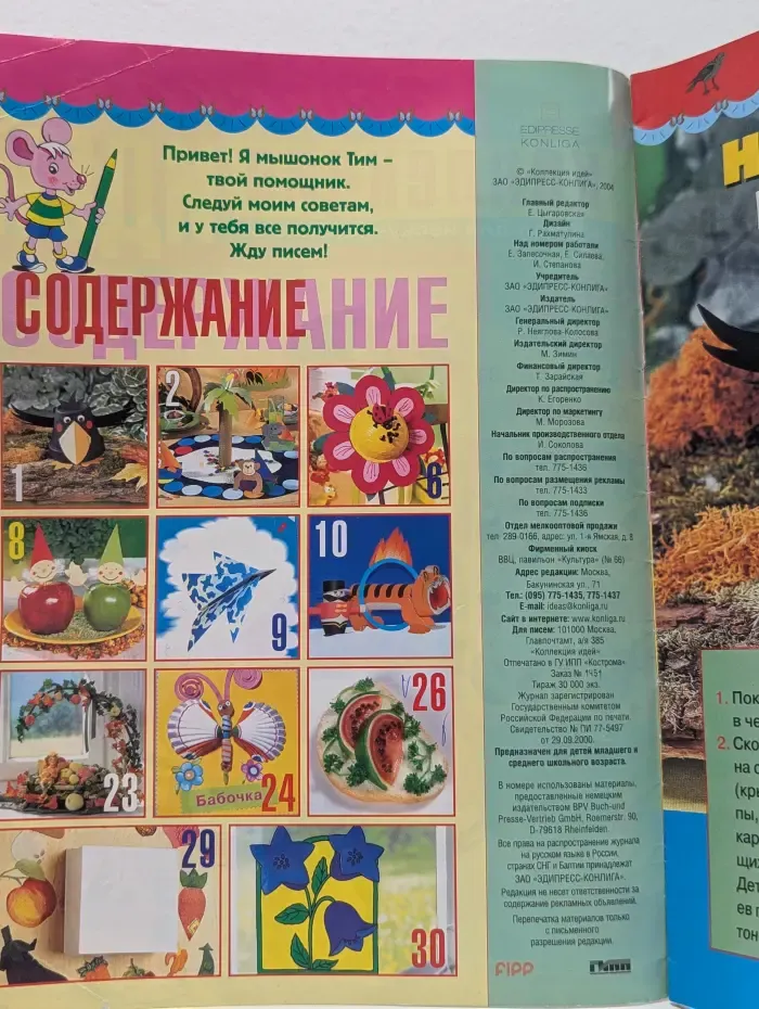 Коллекция идей. Журнал для нескучной жизни. Выпуск № 7-8/2004