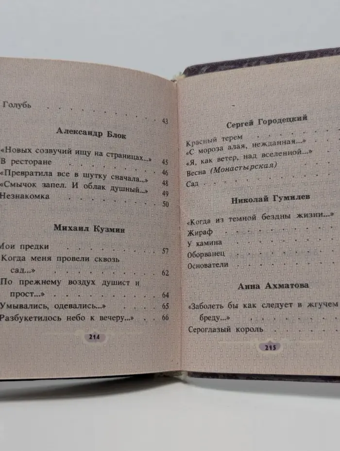Палитра поэзии