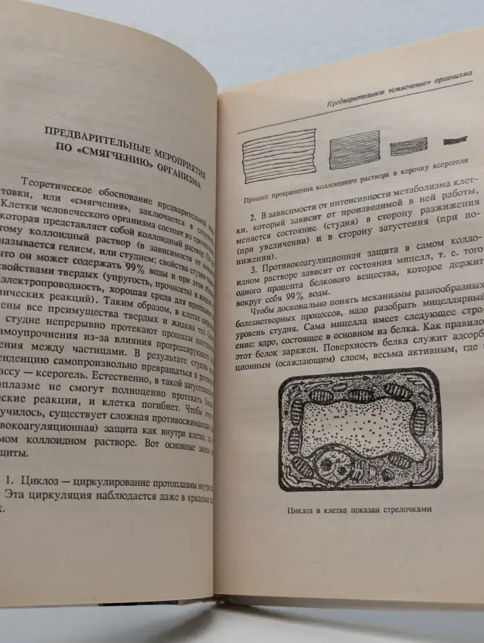 В гармонии с собой. Полное очищение организма