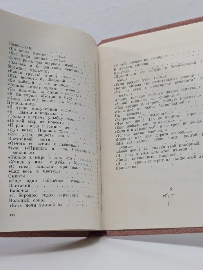 Поэтическая библиотечка школьника. Сад весь в цвету