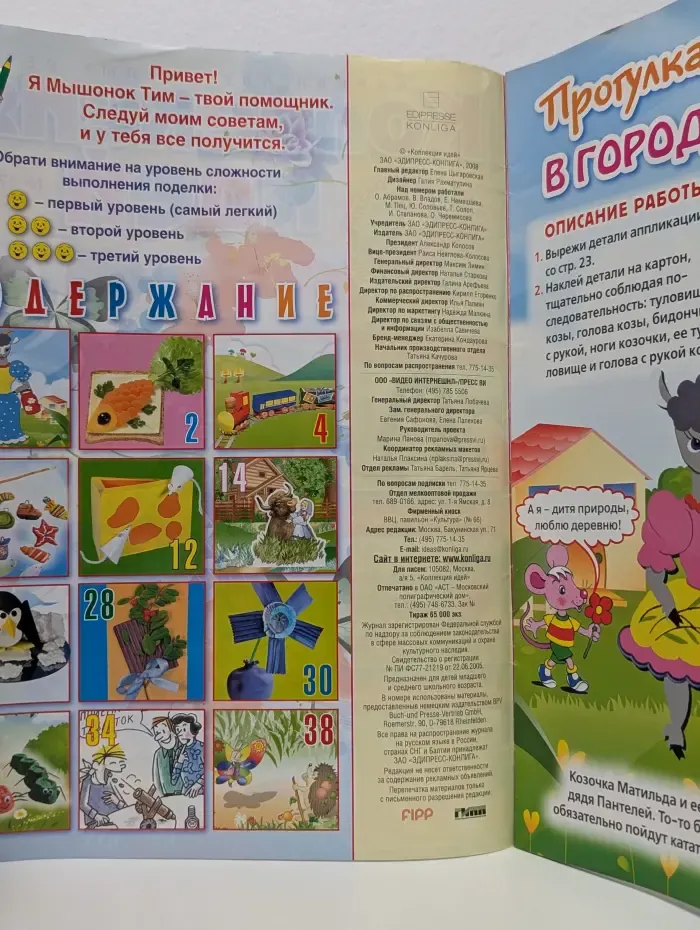 Коллекция идей. Выпуск № 17/2008