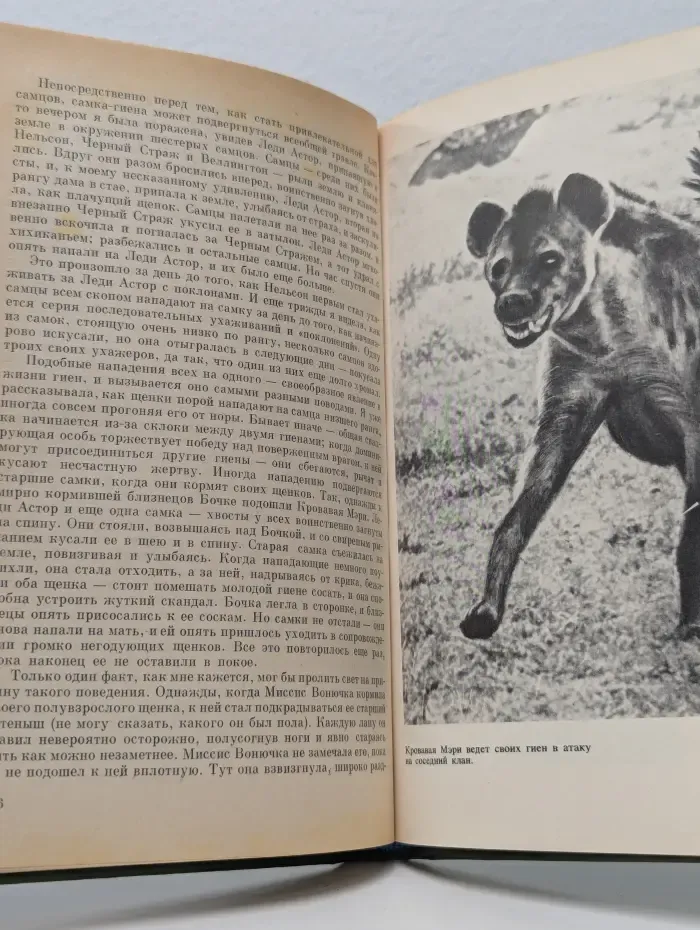 Не кричи Волки! Невинные убийцы. Человек находит друга