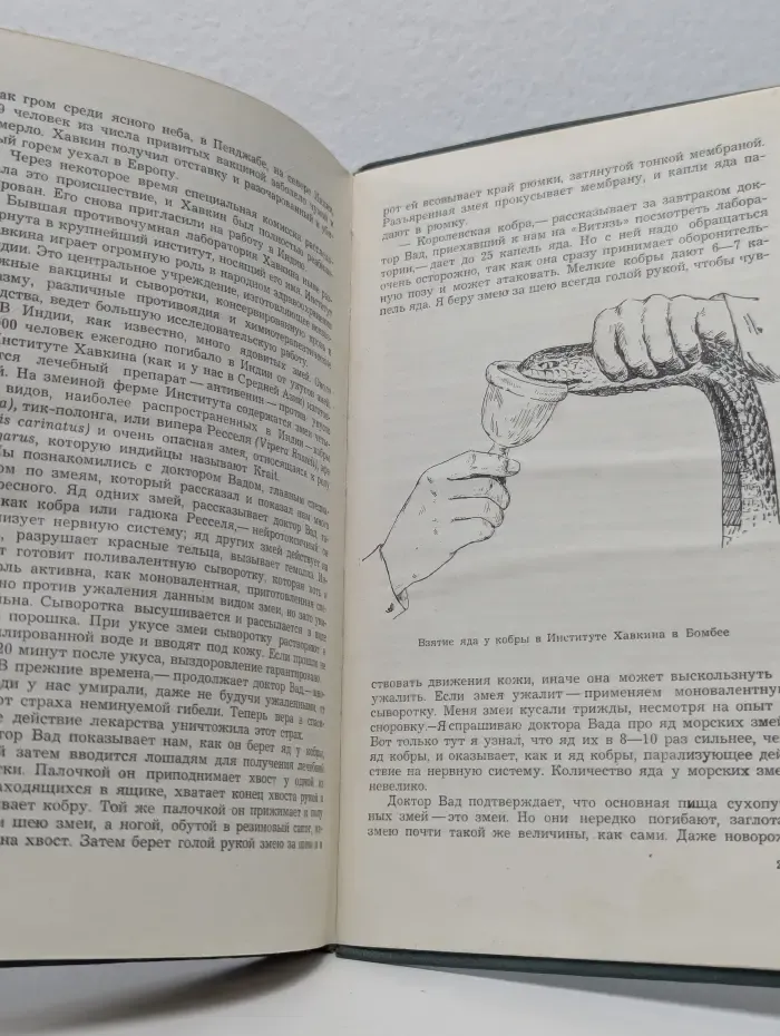 "Витязь" в Индийском океане