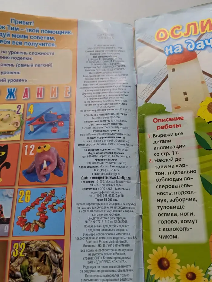 Коллекция идей. Выпуск № 10/2008