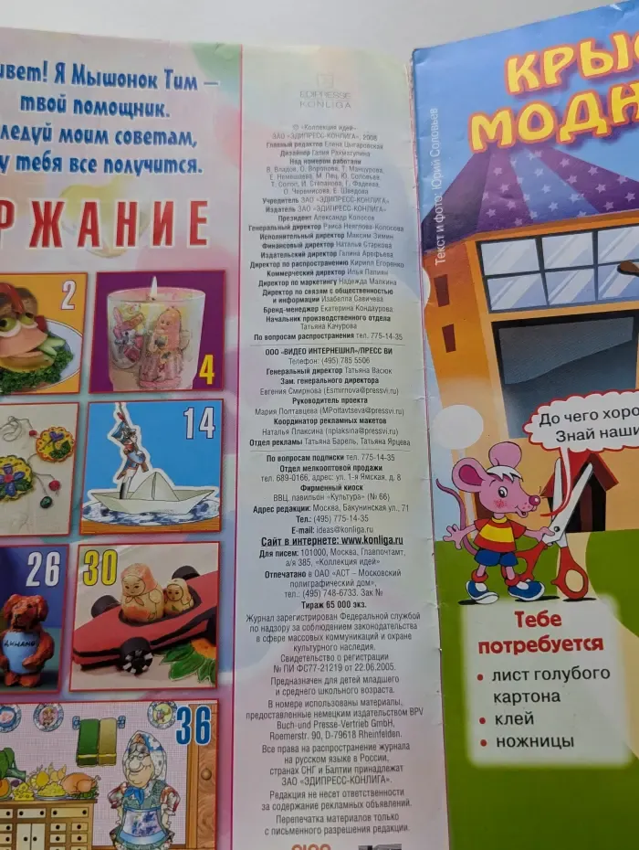 Коллекция идей. Выпуск № 1/2008