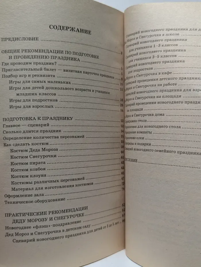 Новый год. Практическое руководство для Деда Мороза и Снегурочки