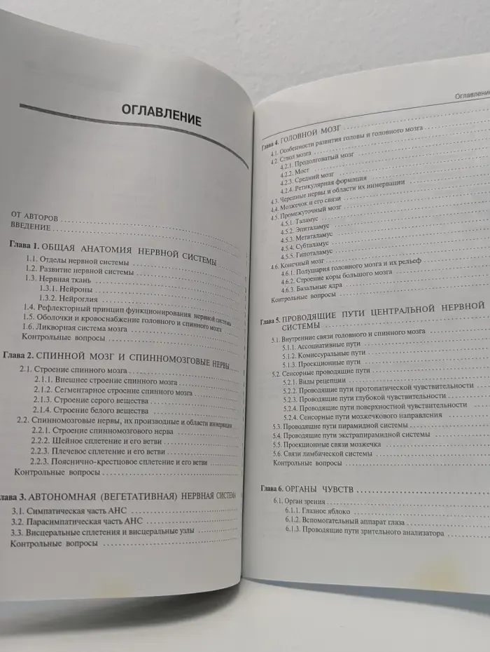 Анатомия нервной системы