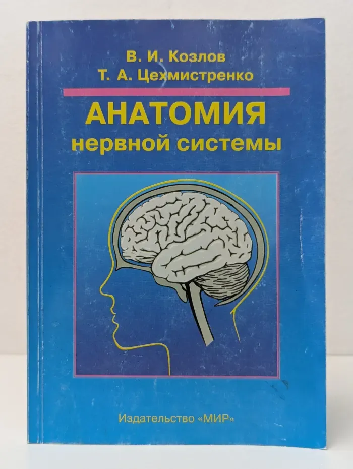 Анатомия нервной системы