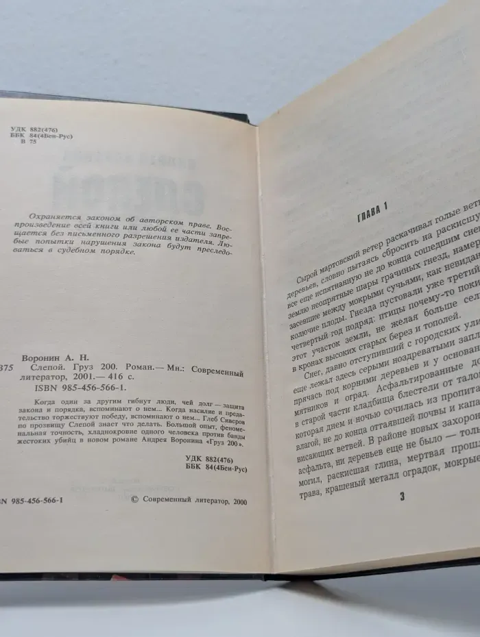 Слепой. Груз 200