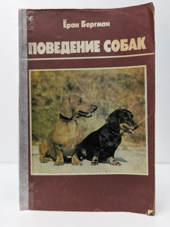 Поведение собак