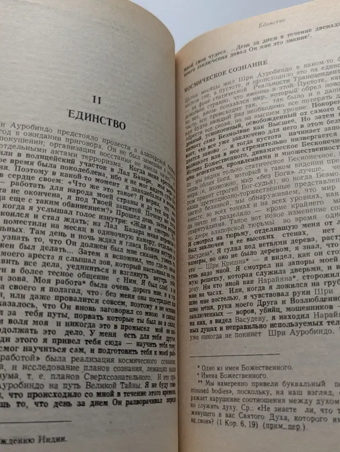 Шри Ауробиндо, или Путешествие сознания