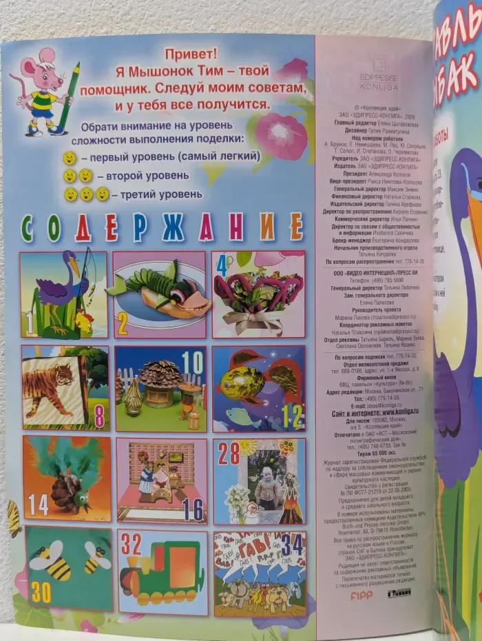 Коллекция идей. Выпуск № 6/2009