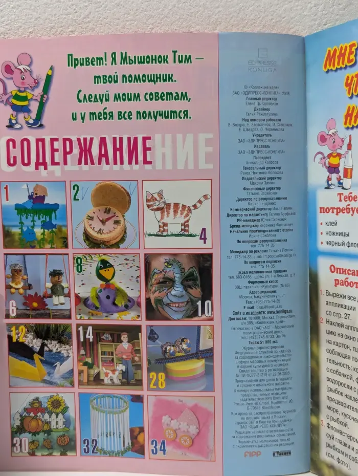 Коллекция идей. Выпуск № 8/2006