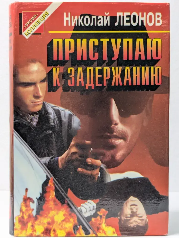 Черная кошка. Приступаю к задержанию