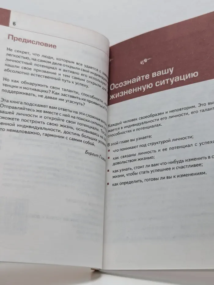 Лаборатория успеха. Бизнес-рецепты! Личностный потенциал: как его распознать и развить