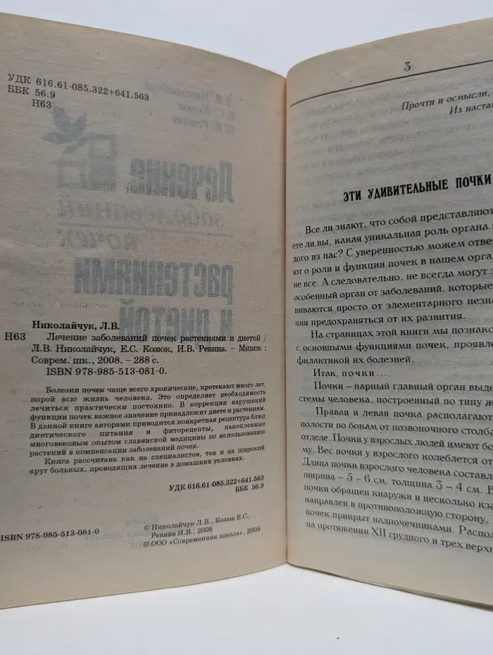 Лечение заболеваний почек растениями и диетой