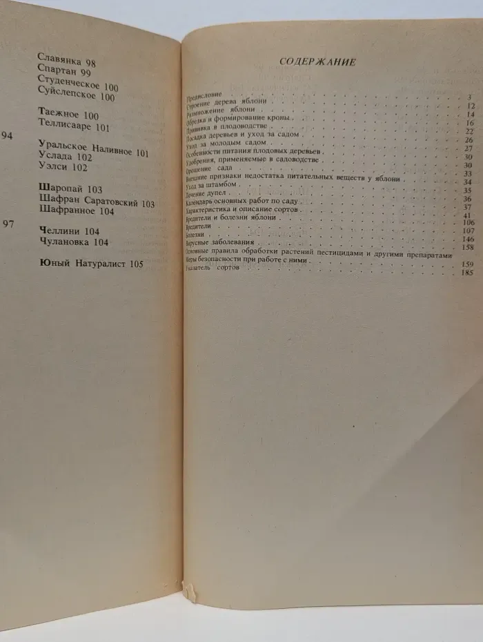 Яблоня в вашем саду