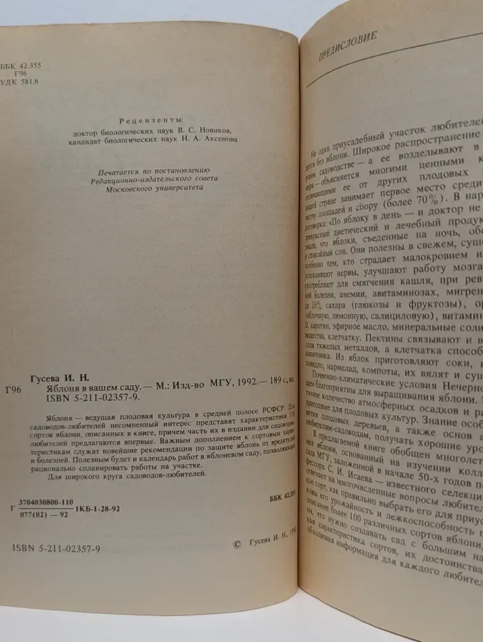 Яблоня в вашем саду