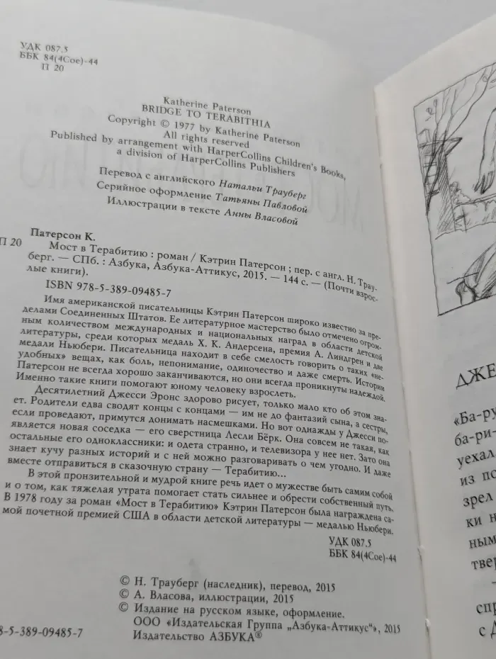 Почти взрослые книги. Мост в Терабитию