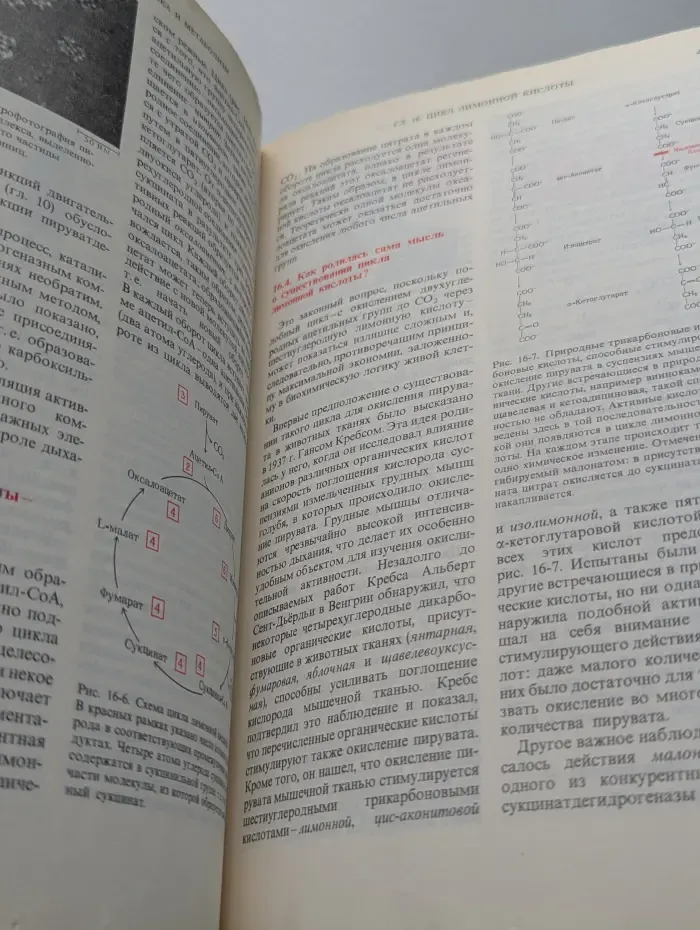 Основы биохимии. В 3 томах. Том 2