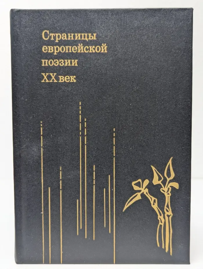 Страницы европейской поэзии. XX век