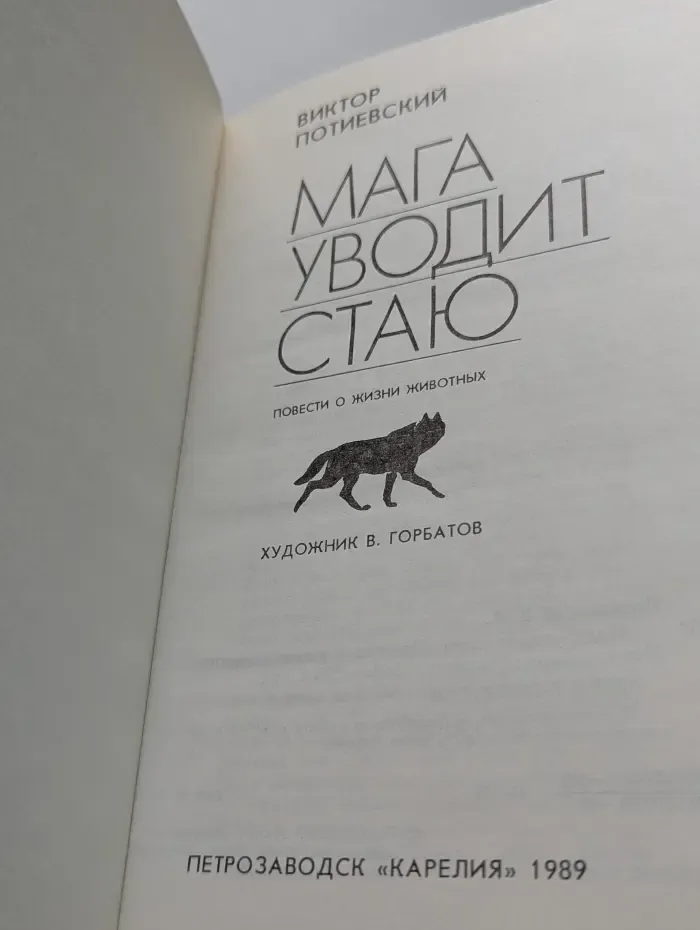 Мага уводит стаю