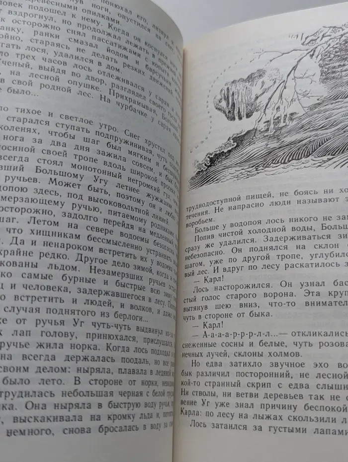 Мага уводит стаю